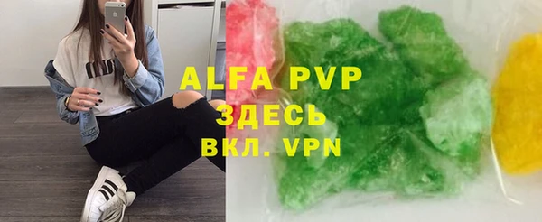 прущие грибы Богородицк