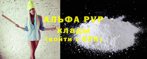 прущие грибы Богданович