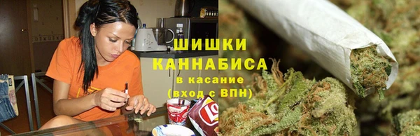 прущие грибы Богданович