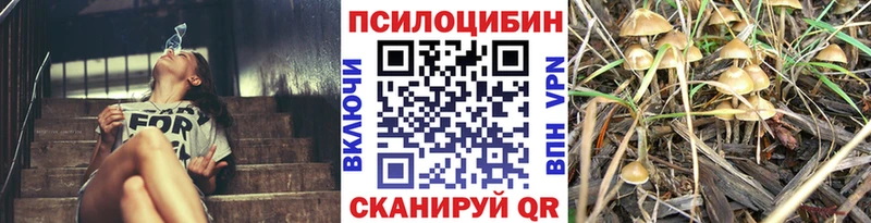 Псилоцибиновые грибы Cubensis  Томари 
